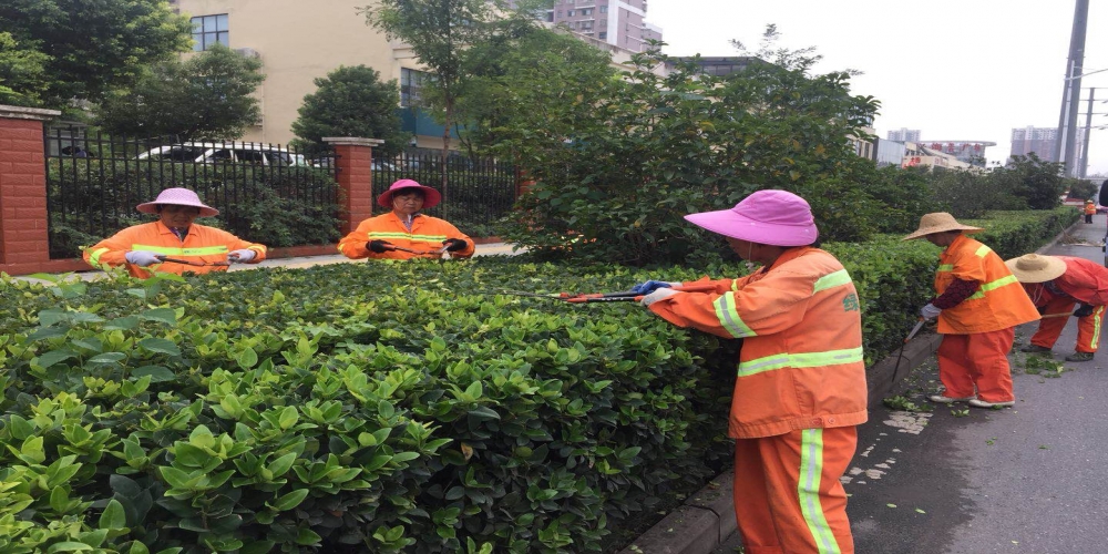 新站區(qū)道路清掃保潔、綠化管養(yǎng)項目